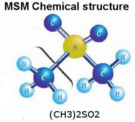 Methylsulfonylmethane (MSM) | VitaClinix Research